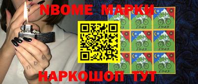 стафф Донской