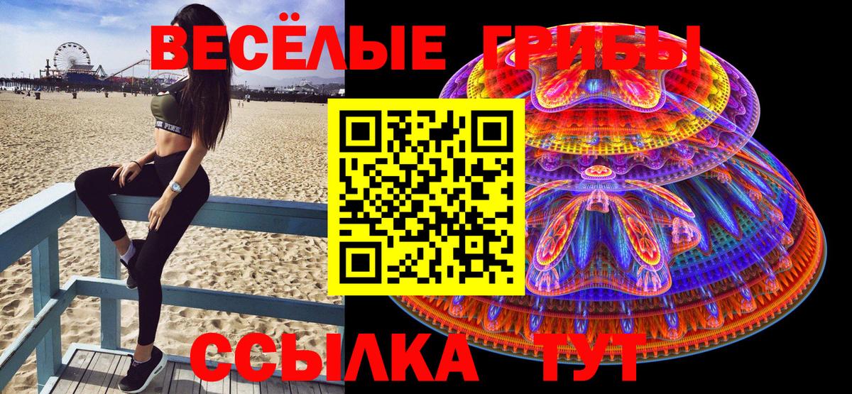 Киржач  Псилоцибиновые грибы ЛСД  купить  сайты  Вход с VPN  Галлюциногенные грибы мицелий 